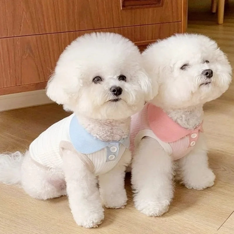 Summer Dog Polo Shirt for Small Dogs-1
