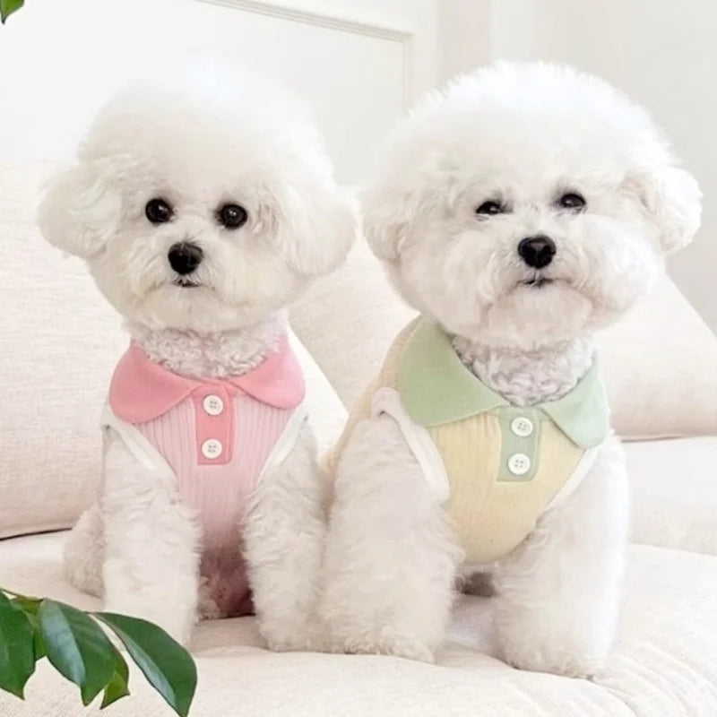 Summer Dog Polo Shirt for Small Dogs-2