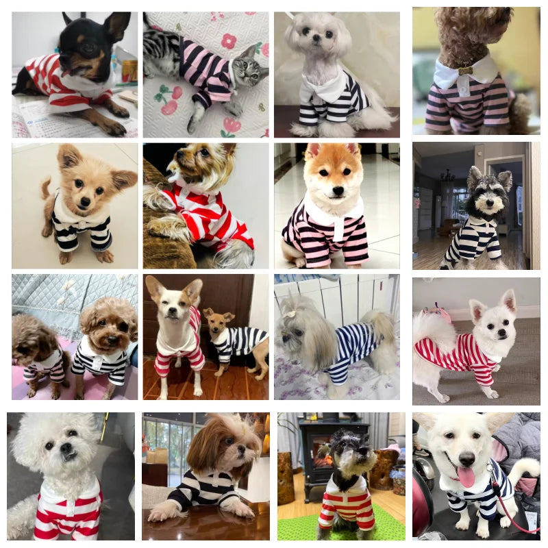 Summer Dog Polo Shirt for Small Dogs-1
