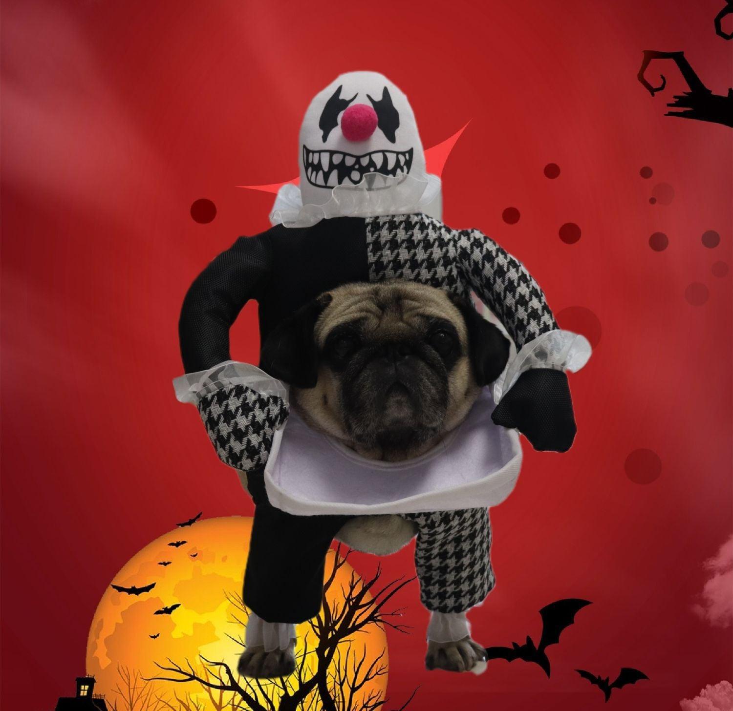 Pet Halloween Demon Transformation Costume-4